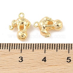 Messing Charme&nbsp;KK-Q816-28G