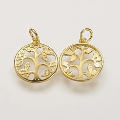 925 Sterling Silber Anhänger&nbsp;LS-STER-K029-01G