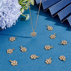 12pcs latón micro pavé colgantes de circonita cúbica&nbsp;KK-ME0004-66