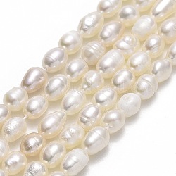 Natural Cultured Freshwater Pearl Beads Strands, Rice, Linen, 5.5~6.5x4~4.5mm, Hole: 0.5mm, about 68~69pcs/strand, 15.35''~15.55