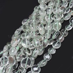 Perles de quartz de lotilite naturelle, plat rond, 11~19x10~14mm, Trou: 0.8mm, Environ 29 pcs/chapelet, 16.7 pouce