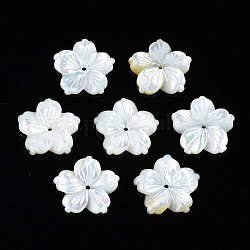 Cuentas de concha natural de blanco, flor, 14.5x14.5x1.5~2.5mm, agujero: 1 mm