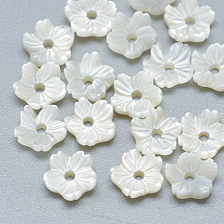 Shell perle bianche naturali, perle di madreperla, fiore, colore conchiglia, 6x6x2mm, Foro: 1 mm