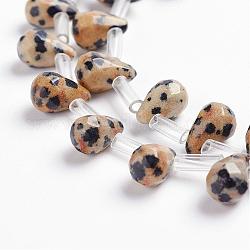 Chapelets de perles en jaspe dalmatien naturelle, perles percées, larme, facette, 9x6mm, Trou: 1mm, Environ 38~44 pcs/chapelet, 16.1 pouce ~ 18.1 pouces (41~46 cm)