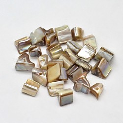 Dyed Natural Freshwater Shell Chip Beads, Dark Khaki, 8~15x7~8mm, Hole: 1mm, about 750pcs/500g