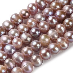 Brins de perles de culture d'eau douce naturelles, pomme de terre, niveau 3a+, chardon, 7~8x7mm, Trou: 0.5mm, Environ 58 pcs/chapelet, 15.43'' (39.2 cm)