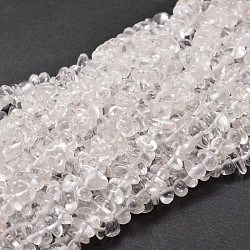 Quarzo naturale perline di chip di cristallo fili, perle di cristallo di rocca, 5~14x4~10mm, Foro: 1 mm, circa 15.5 pollice ~ 16.1 pollici