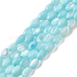 Brins de perles de coquillages naturels de troca, teinte, riz, cyan clair, 5x3~3.5mm, Trou: 0.7mm, Environ 81~82 pcs/chapelet, 15.39''~15.51'' (39.1~39.4 cm)