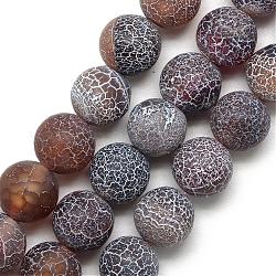 Fili di perline in agata naturale, smerigliato, tinto, tondo, marrone noce di cocco, 10~10.5mm, Foro: 1.5 mm, circa 37pcs/filo, 14.6 pollice