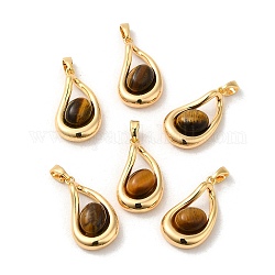 Natural Tiger Eye Pendants, Brass Teardrop Charms, Real 18K Gold Plated, 21x13x6mm, Hole: 4.5x3mm