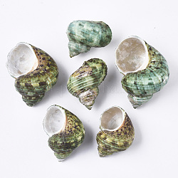 Perles de coquillage en spirale naturelle, perles non percées / sans trou, vert clair, 37~53x25~36.5x22.5~32mm