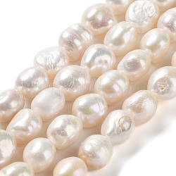Brins de perles de culture d'eau douce naturelles, poli des deux côtés, Note 4 un, couleur de coquillage, 11.5~13.5x11~12x8~9mm, Trou: 0.7mm, Environ 31~35 pcs/chapelet, 14.76'' (37.5~39.5 cm)