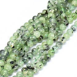 Chapelets de perles en préhnite naturelle, ronde, 8mm, Trou: 0.7mm, Environ 52 pcs/chapelet, 15.4 pouce ~ 15.9 pouces (39.2~40.5 cm)
