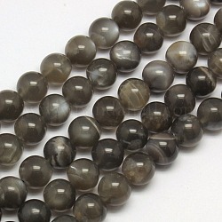 Naturelles perles de pierre de lune noir brins, ronde, 10mm, Trou: 1mm, Environ 39 pcs/chapelet, 15.7 pouce
