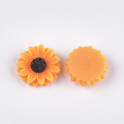 Harz Cabochons&nbsp;X-CRES-T010-60B-1