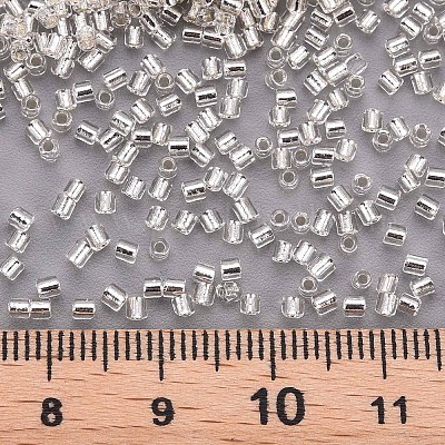 Perles de bugle en verre&nbsp;SEED-S032-08A-21-1