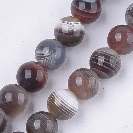 Chapelets de perles en agate naturelle du Botswana G-S333-10mm-026-1
