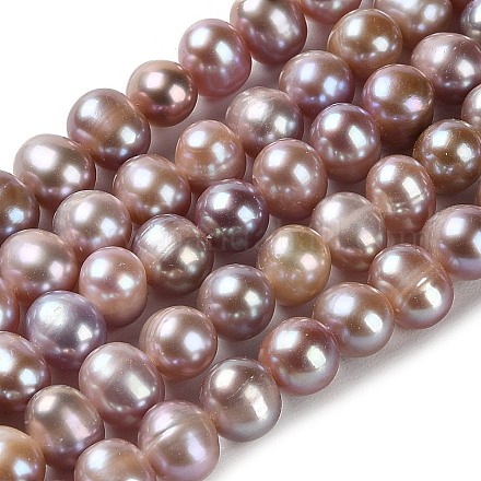Natural Cultured Freshwater Pearl Beads Strands PEAR-E018-18-1