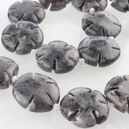 De piedras preciosas naturales hebras flor perla labradorita G-E237-06-20mm-1