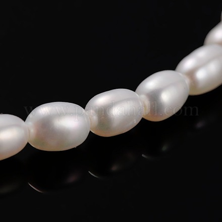 Natural Cultured Freshwater Pearl Oval Beads Strands PEAR-E002-12-1