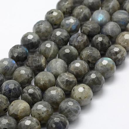 Chapelets de perles en labradorite naturelle  G-P322-28-14mm-1