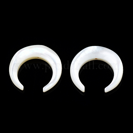 Perles de coquillage blanc naturel SSHEL-N034-122A-03-1