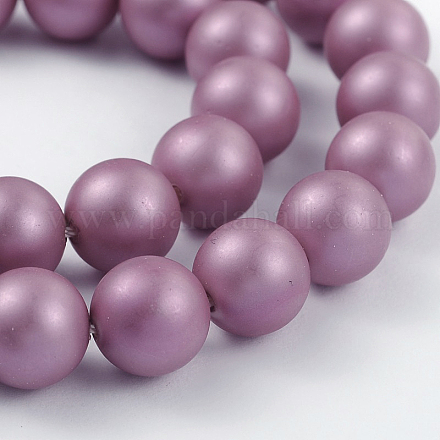 Round Shell Pearl Bead Strands X-BSHE-J011-8mm-A03-1