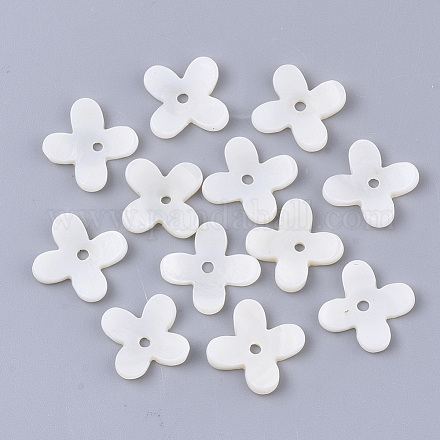 Perles de coquille d'eau douce X-SHEL-S276-58-1