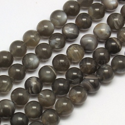 Naturali nera perle di pietra di luna fili G-J157-10mm-05-1