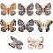 6Pcs 6 Colors Rhinestone Butterfly Badge, Alloy Lapel Pin for Women, Light Gold, Mixed Color, 35~39x44.5~61.5x4.5~10mm, 1pc/color