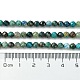 Chapelets de perles en chrysocolle naturelle G-Z034-A03-03-5