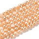 Natural Cultured Freshwater Pearl Beads Strands PEAR-E017-41-1
