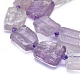 Chapelets de perles en améthyste naturelle G-L552Q-04-2