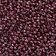 Toho perles de rocaille rondes X-SEED-TR08-1075-4