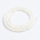 Chapelets de perles de coquille de trochid / trochus coquille X-SSHEL-L016-13A-3