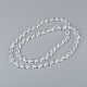 Chapelets de perles en verre GLAA-R196-12x9mm-01-3