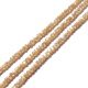 Fili di perle di conchiglia trochid naturale / trochus SSHEL-O001-24B-01-3