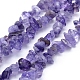 Natural Amethyst Beads Strands X-G-P332-06-1