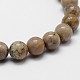 Natural Fossil Coral Beads Strands G-I131-21-10mm-3