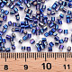 Glass Bugle Beads SEED-S032-09A-641-4