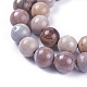 Natural Fossil Coral Beads Strands G-L500-02-10mm-2
