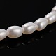 Natural Cultured Freshwater Pearl Oval Beads Strands PEAR-E002-12-1
