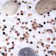 Pandahall élite environ 190g coloré minuscule coquillage océan plage spirale coquillages artisanat breloques pour la fabrication de bougies décoration de la maison plage thème fête de mariage SSHEL-PH0002-34-4