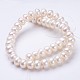 Natural Cultured Freshwater Pearl Beads Strands PEAR-P002-30-2