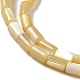 Brins de perles de coquillages naturels de troca SHEL-K006-37-3