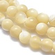 Chapelets de perles de coquillage G-A177-04-26-3