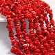 Natural Coral Beads Strands DC029Y-1