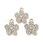 Подвески из сплава с хрустальными стразами FIND-C042-04G