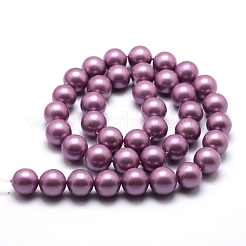 Runde Klasse a Muscheln Perle Stränge&nbsp;LS-BSHE-M027-6mm-11