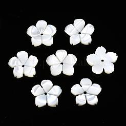 Shell perle bianche naturali&nbsp;SSHEL-S260-025